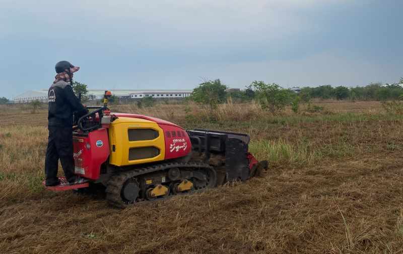 Dịch vụ phát hoang cỏ dại